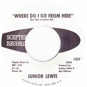 Junior Lewis - Raise Your Hand / Where Do I Go From Here