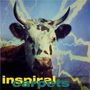 Inspiral Carpets - She Comes In The Fall