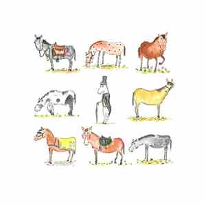 A Formal Horse - A Formal Horse