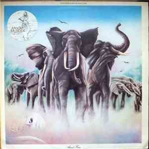 Elvis Costello And The Attractions - Armed Forces