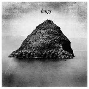 Lungs  - Lungs
