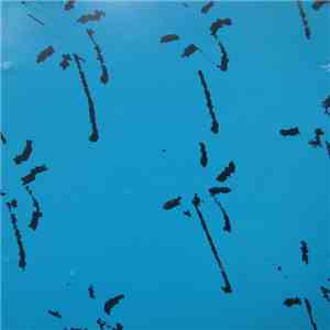 Mazzoll - Single 3