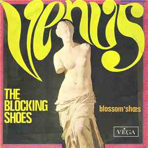 The Blocking Shoes - Venus / Blossom' Shoes