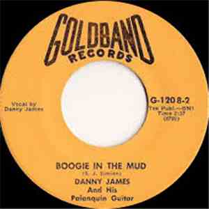 Danny James And His Palanquin Guitar - Paper In My Shoes / Boogie In The Mu ...