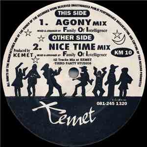 Family Of Intelligence - Agony / Nice Time