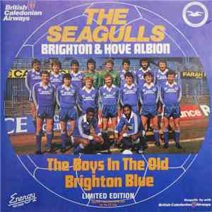 The Seagulls - The Old Brighton Blue / The Goldstone Rap