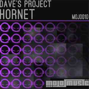 Dave's Project - Hornet