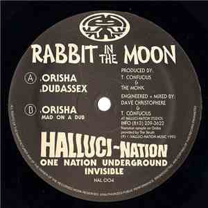 Rabbit In The Moon - Orisha