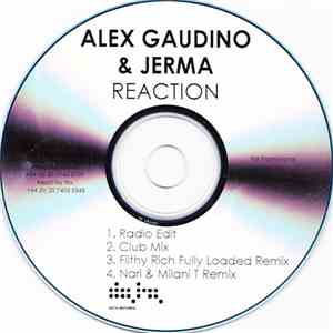 Alex Gaudino & Jerma - Reaction