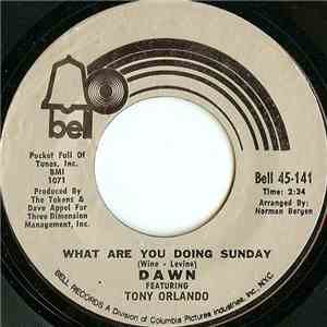 Dawn  Featuring Tony Orlando - What Are You Doing Sunday