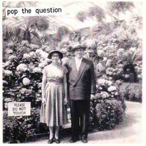 Various - Pop The Question