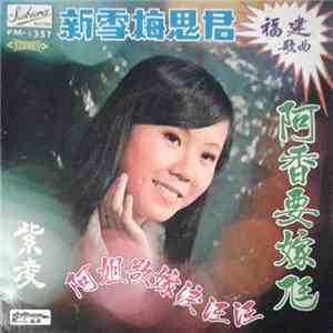 紫凌 - 福建歌曲 新雪梅思君 阿香要嫁尪 阿姐欲嫁淚汪汪