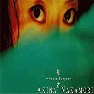 Akina Nakamori - 帰省 Never Forget