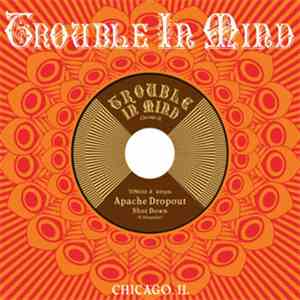 Apache Dropout - Shot Down