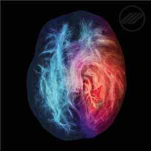 Rare Futures - This Is Your Brain On Love