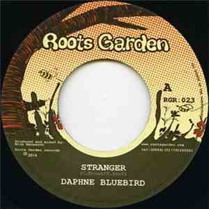 Daphne BlueBird - Stranger