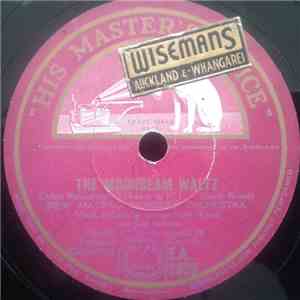 The New Mayfair Orchestra - The Moonbeam Waltz / Song Without Words