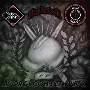 Wild Alley / Bellator  / KMVII - Risorgi, Combatti, Vinci