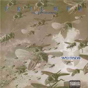 Wu-Tang Clan - Triumph