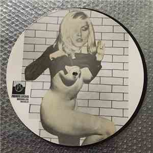 Blondie - On The Road With Blondie