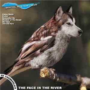 Ed Chamberlain - The Face In The River