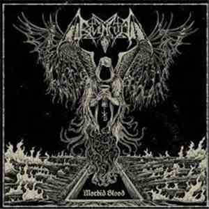 Ravencult - Morbid Blood