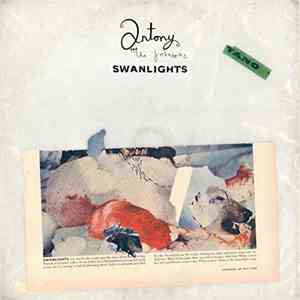 Antony And The Johnsons - Swanlights
