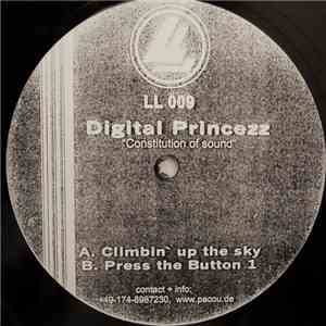 Digital PrinceZZ - Constitution Of Sound