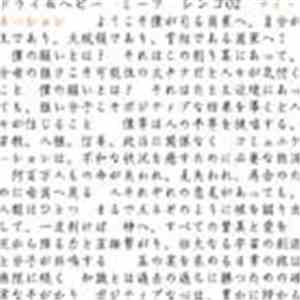 Dry & Heavy Meets Shing02 - My Nation