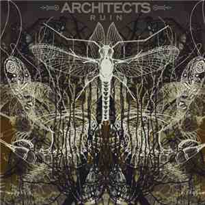 Architects  - Ruin