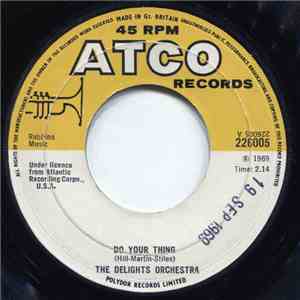 Delights Orchestra - Do Your Thing