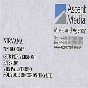 Nirvana - In Bloom