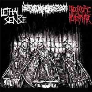 Scatologic Madness Possession / Endoscopyc Hemorrhage / Lethal Sense - 3 Way Split
