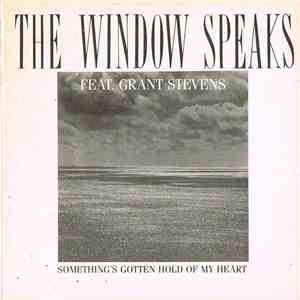 The Window Speaks - Something's Gotten Hold Of My Heart