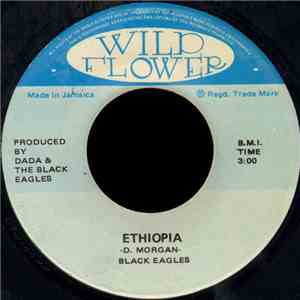 The Black Eagles - Ethiopia